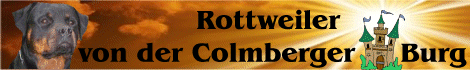 BannerColmberger5